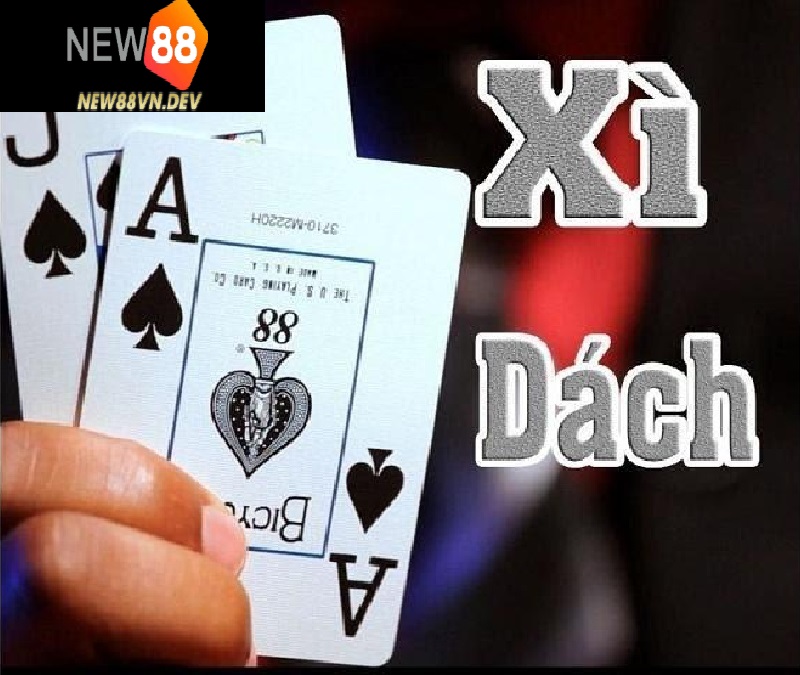 Luật chơi Xì dách hoàng gia tại New88 cực dễ